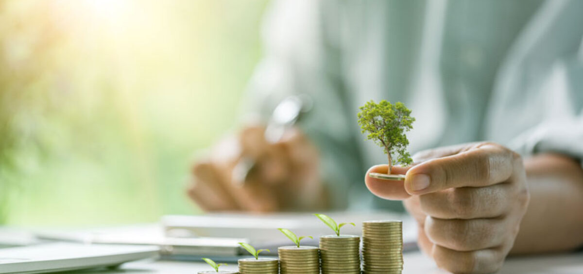 Planting money trees
